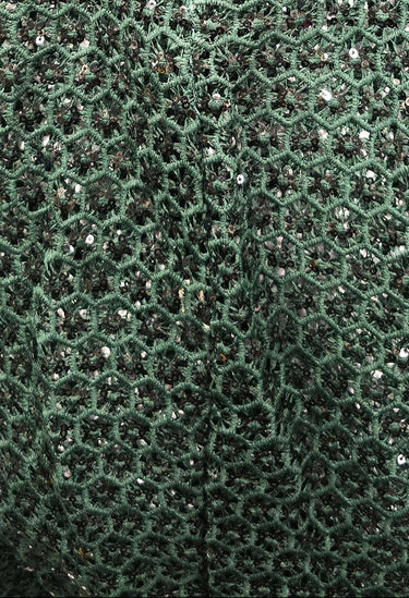 Emerald Green Lace Midi Dress Elegant Bell Sleeve Lace Dress Plus Size Formal Party Dress